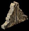Petrified Wood Bookends - Oregon #36665-1
